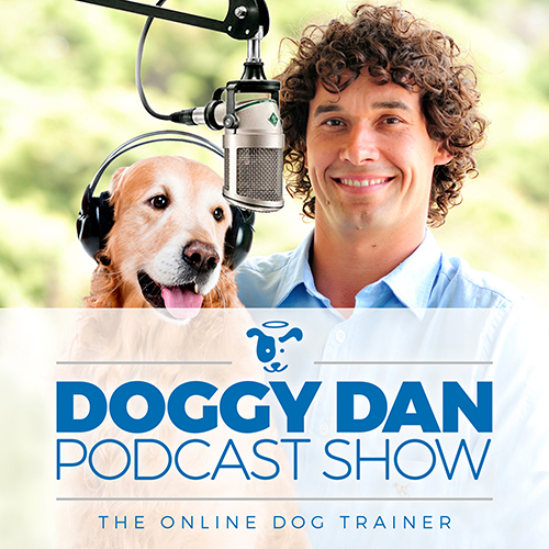 Show 42: Karen Anderson - What Our Pets Experience After Their Time On  Earth With Us | Doggy Dan Podcast Show
